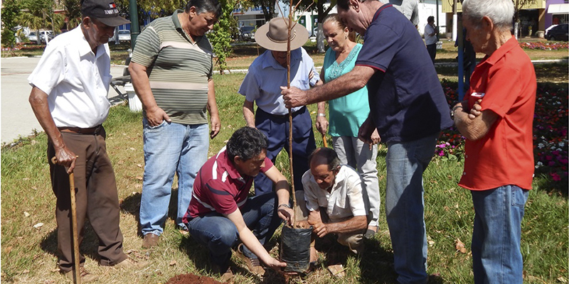 Homenagem à Família Piveta